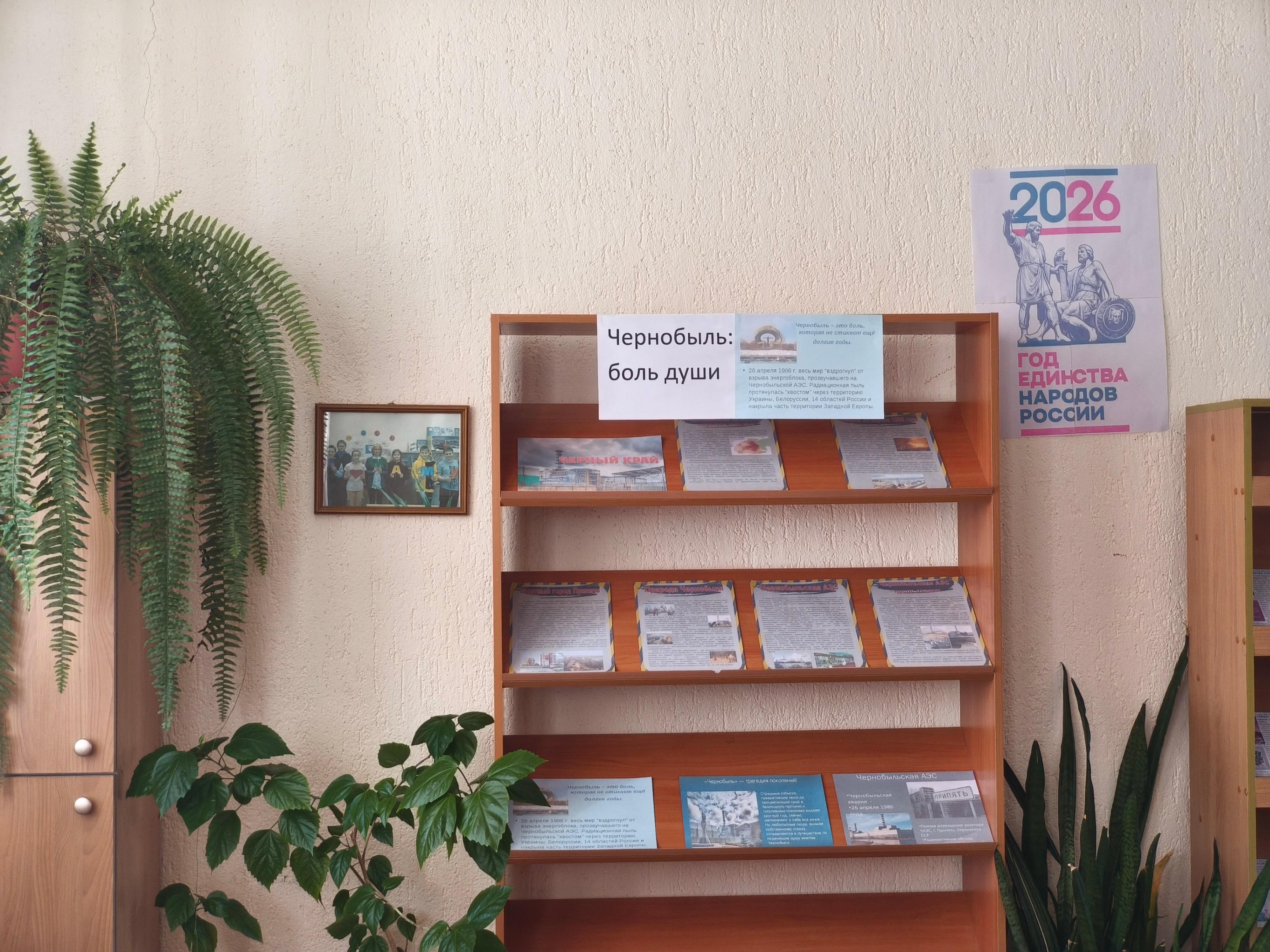 ���� �������: ����������: ���� ����