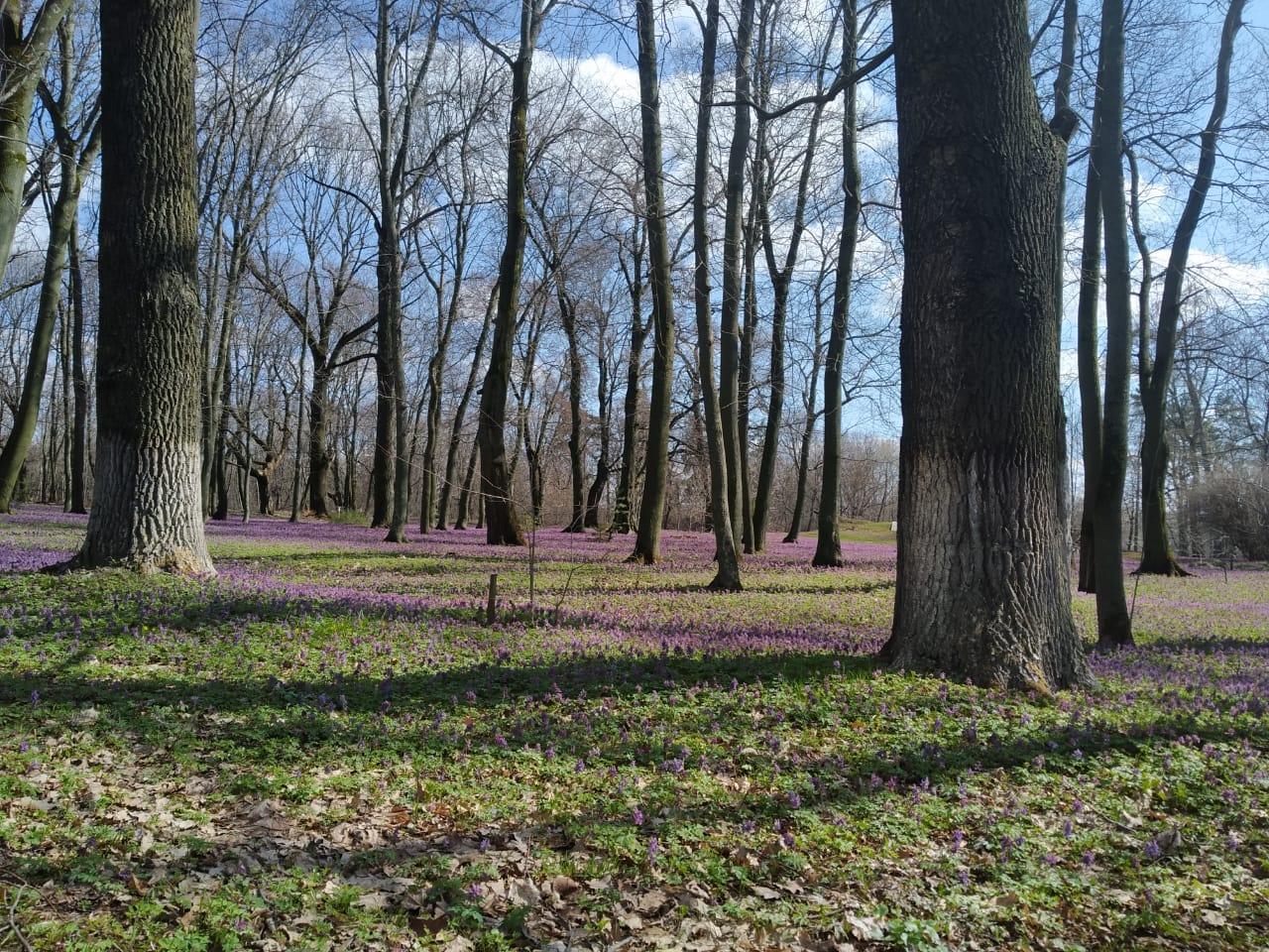 ������������� ��������� ������� ����